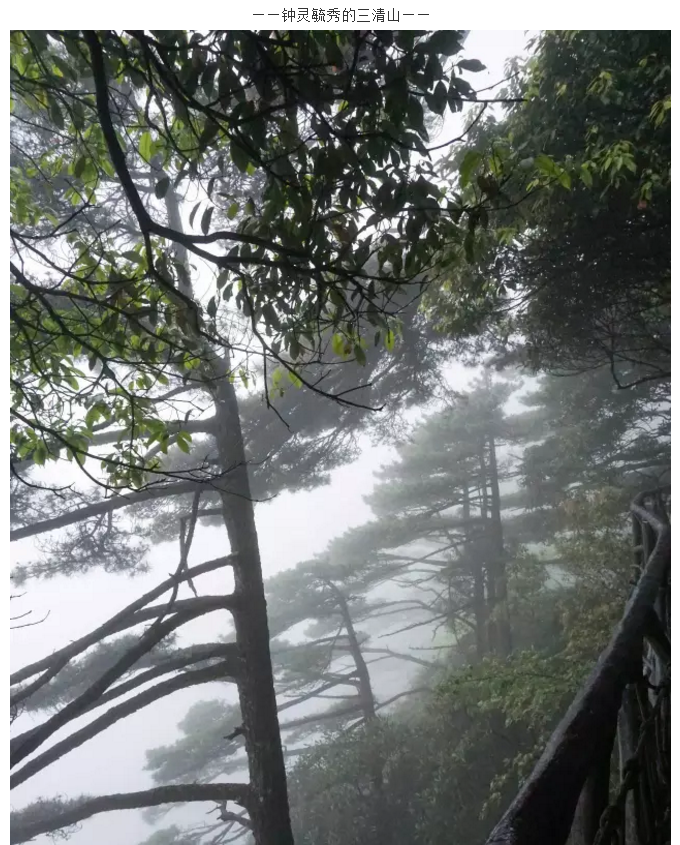 江苏铂莱国际团队旅游活动圆满结束